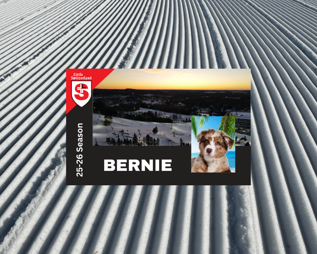 switz season pass