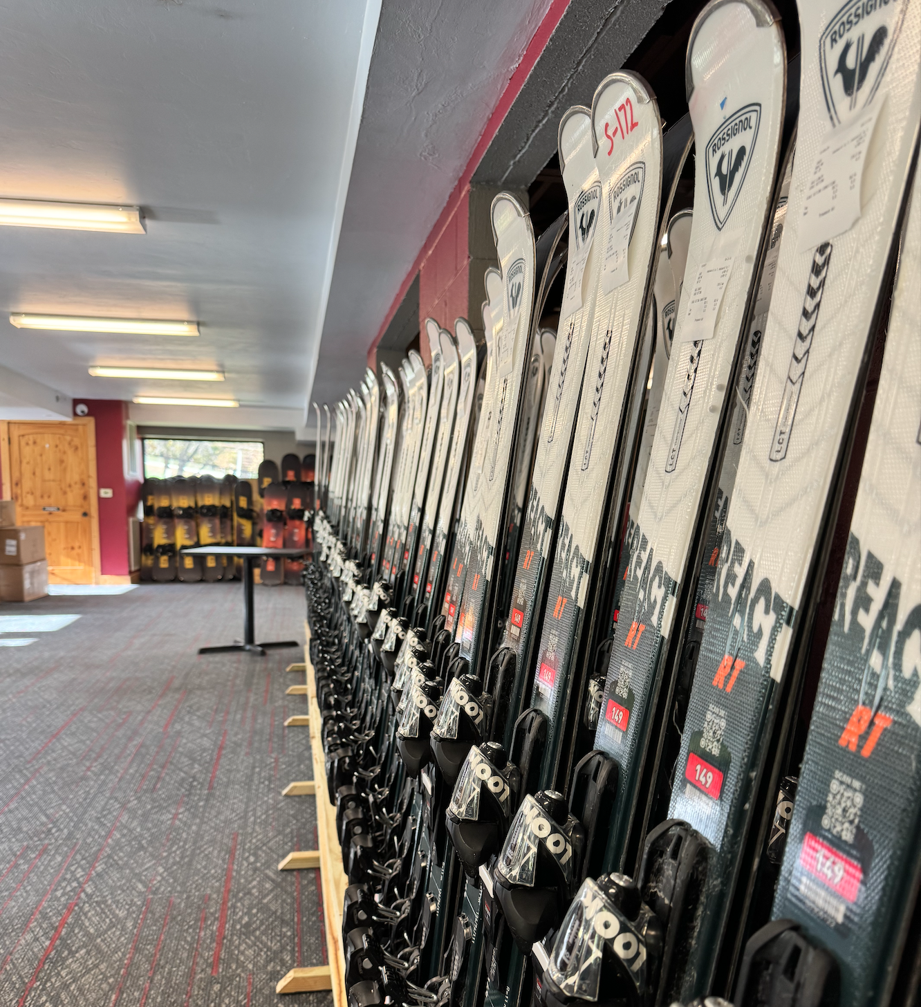 Row of skis lined up in a rental shop.