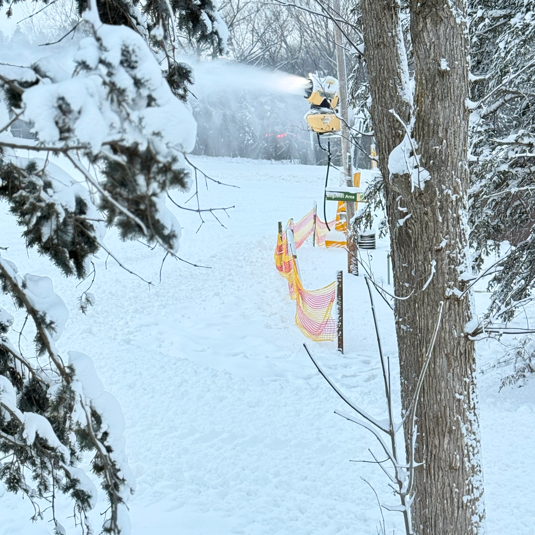 Snowy landscape with trees and a snow-covered path.