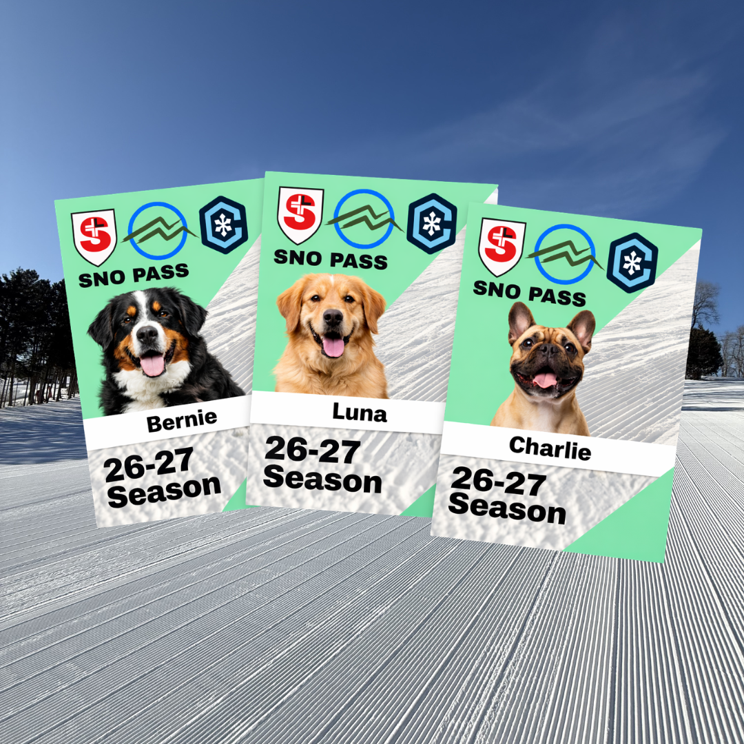 Snowy landscape with three dog-themed ski passes displayed.