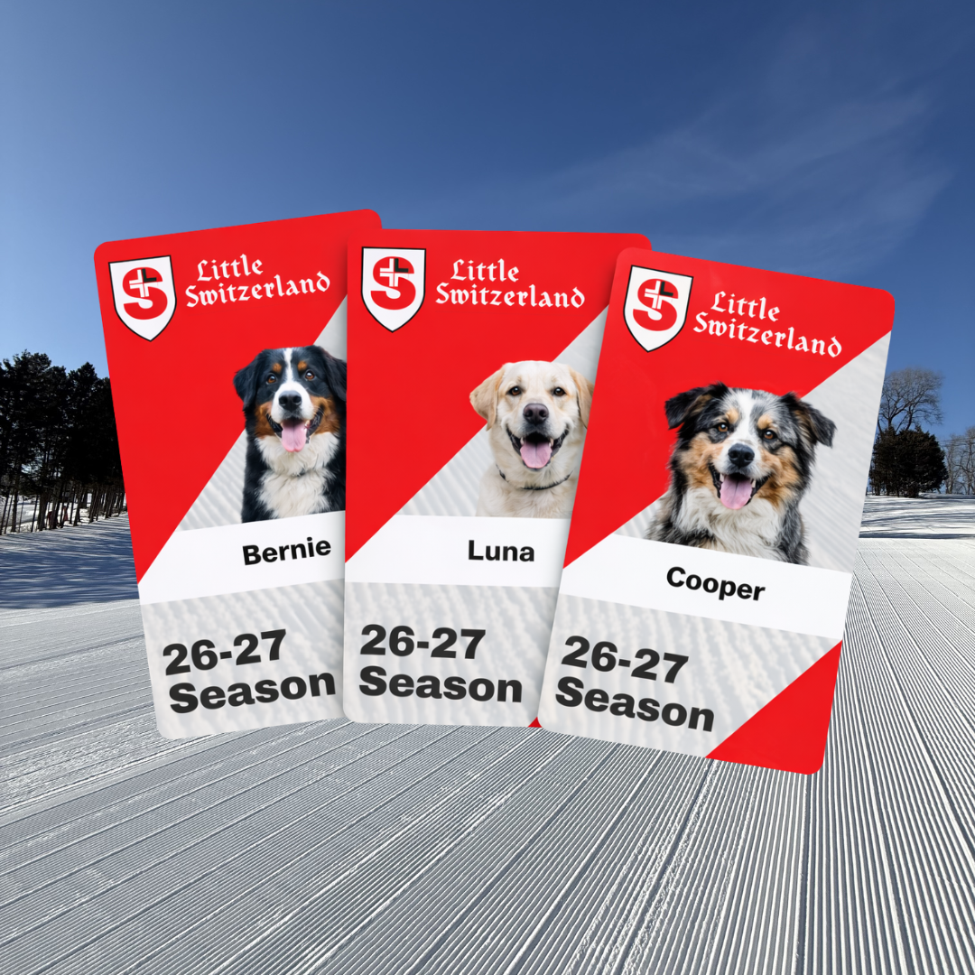 Ski passes with dog photos against a snowy background.
